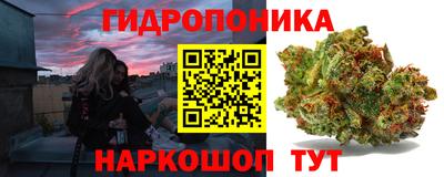 прущие грибы Рыбинск
