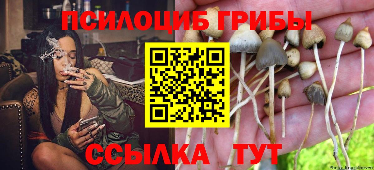 Псилоцибиновые грибы MAGIC MUSHROOMS Армавир